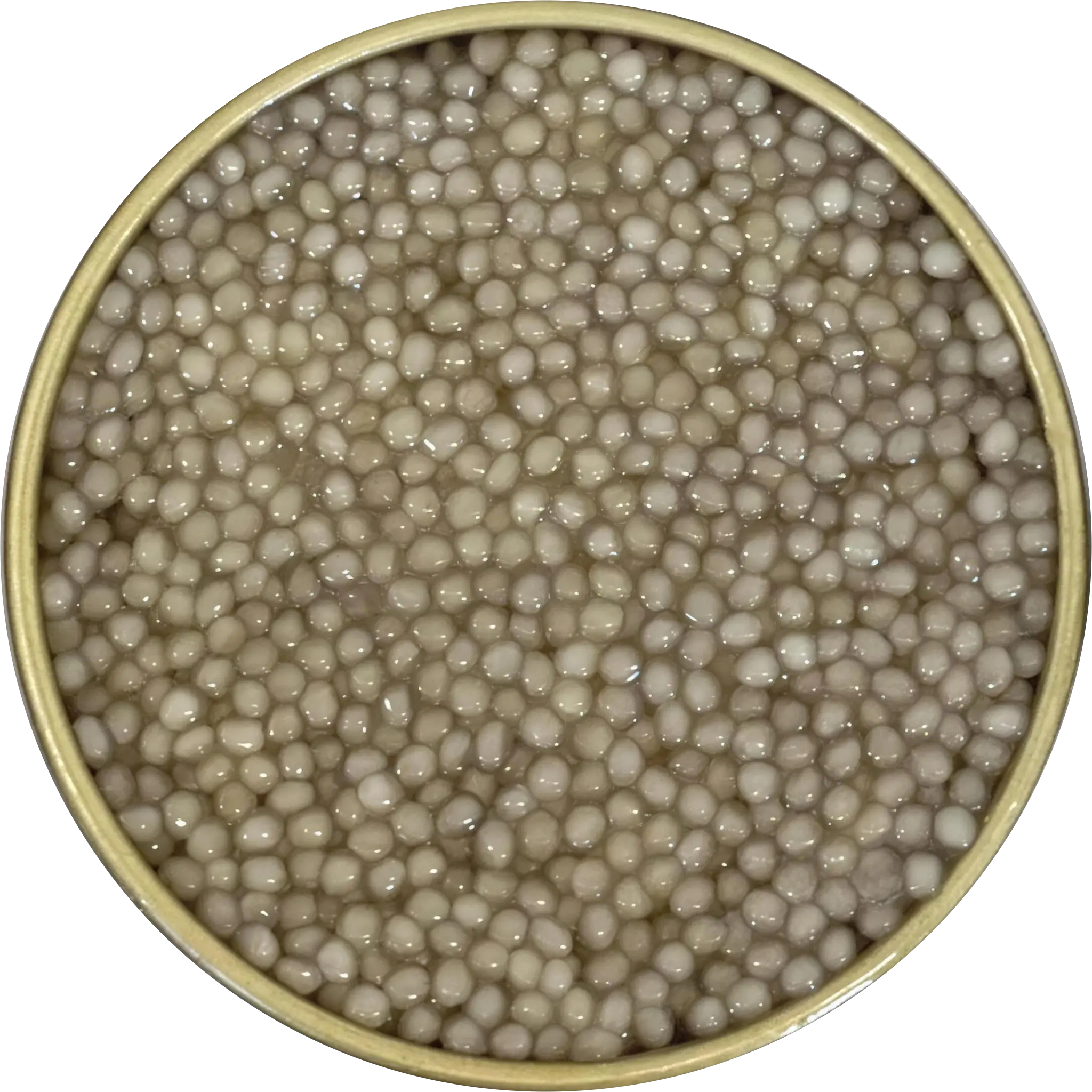 Boîte de caviar Albinos vue de dessus, grains ivoire