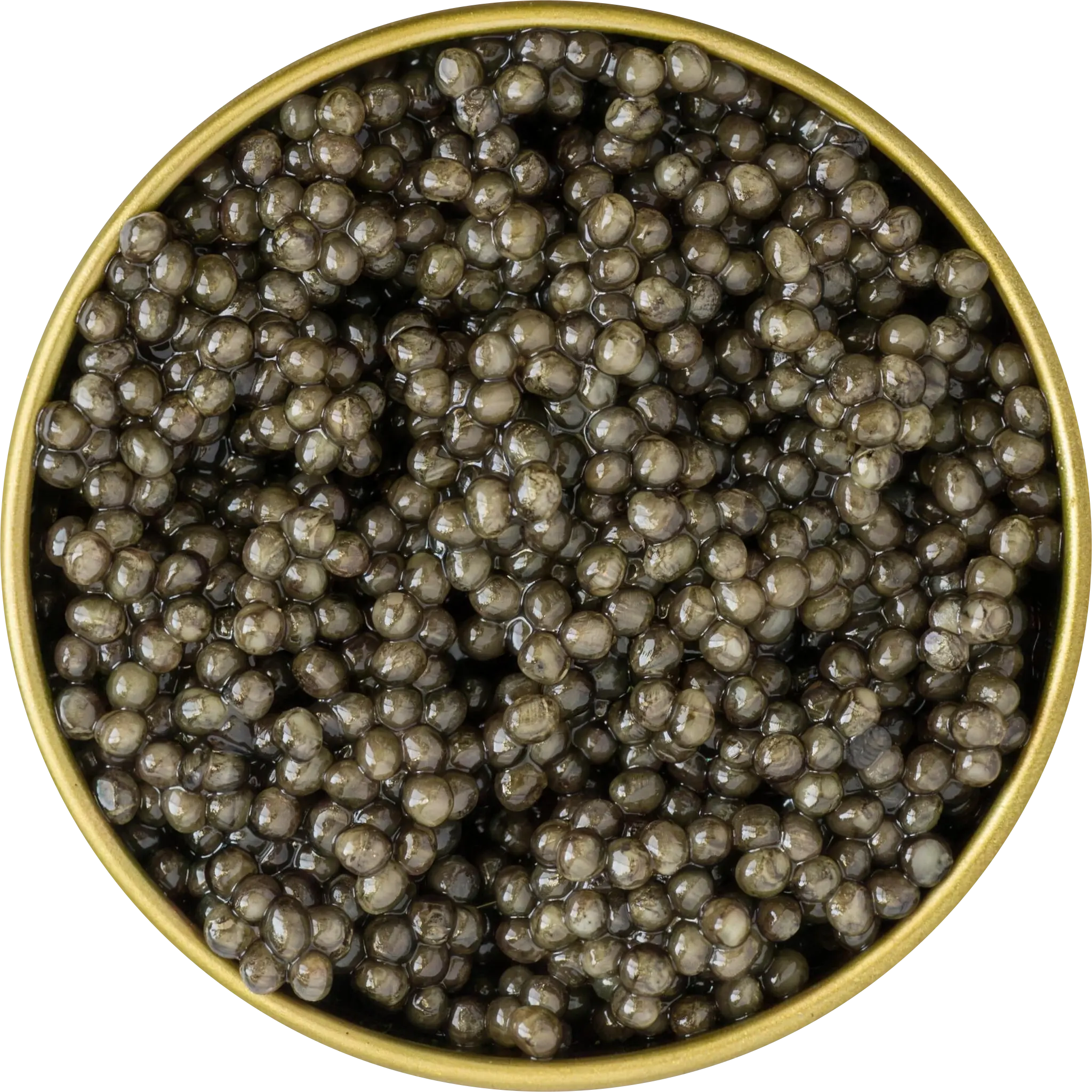 Boîte de caviar Beluga CRU vue de dessus, grains gris foncé