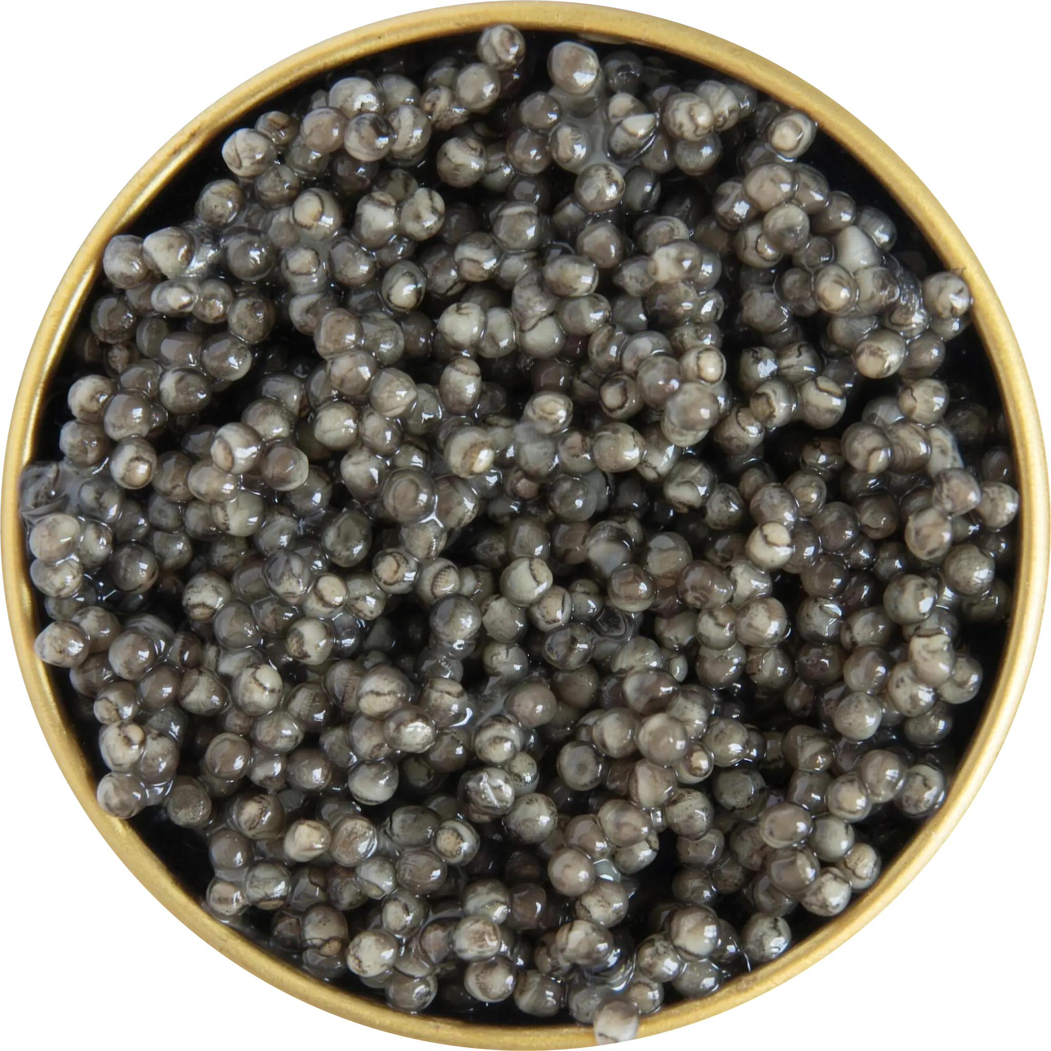 Boîte de caviar Royal Selection Beluga Grand CRU vue de dessus, grains gris argent