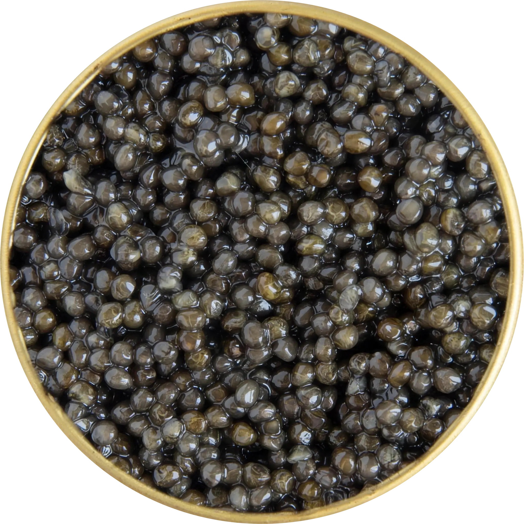 Boîte de caviar d’esturgeon russe vue de dessus, grains bruns