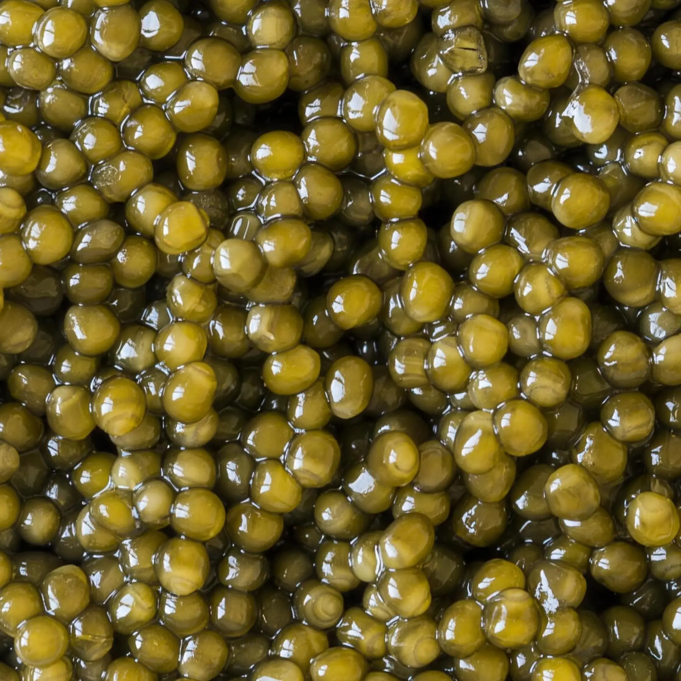 Grains de caviar Baerii Gold en gros plan